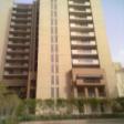 Residential Apartment 4 Bhk  Rent Sector 54 Gurgaon